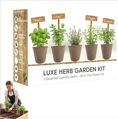 Kit Bonsai Plante Naturelle - Cultivez Votre Petit Jardin à Domicile - Cadeau Noël Idéal avec Terre et Engrais - Pour Amateurs de Plantes