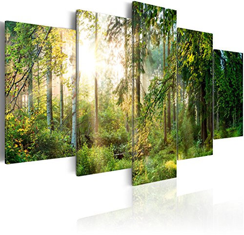 B&D XXL - Akustikbild Landschaft Wald 5 tlg - Bilder Akustikschaum Schallschutz Wand Deko Kunst Akustikpaneele Wandpaneele Schalldämmung Wandbild Schallabsorber Akustikplatten c-C-0033-b-n