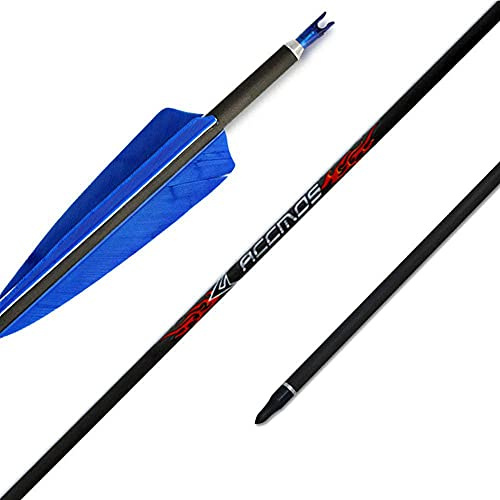 12pcs Longueur Personnalisée Flèche Carbone pour Environ 30 Lb Arc Recurve Diamètre Intérieur 6.2mm .244 22-33 Pouces Spine 250 300 340 400 500 600 700 800 Adulte Jeunesse Chasse et Entraînement
