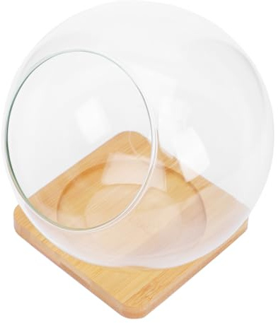 UPKOCH Frascos de con Boca Inclinada y Base de Bambú Recipiente Transparente para Plantas Suculentas y Micro Paisajismo Soporte para Decoración y Terrarios