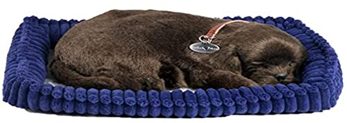 Perfect Petzzz 96231 Plüschhund Chocolate Labrador mit Körbchen, Größe 25 cm, Kuscheltier atmet wie EIN echtes Haustier, schlafender Hund mit Halsband, Stofftier mit flauschigem Fell, Dunkelbraun