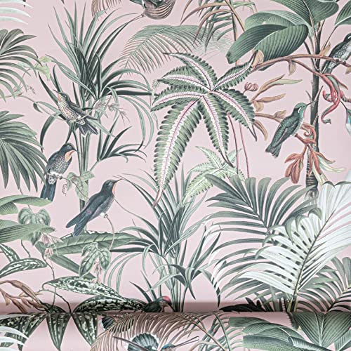 SOPHIE LAURENCE Tropical Rain Forest Birds Jungle Palm Leaves Green Non-Woven Wallpaper (Tropical Birds Pink)