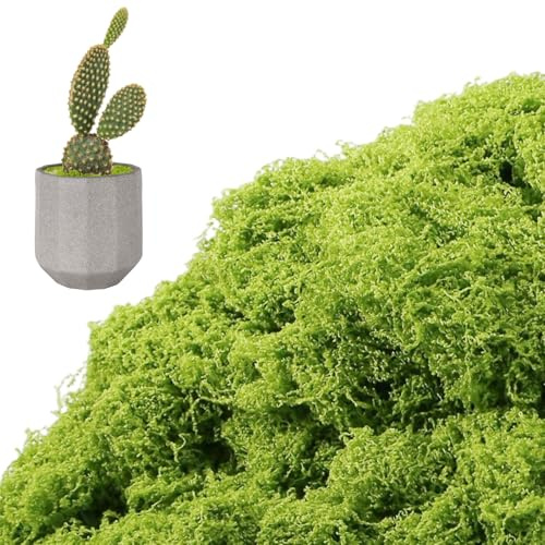 Bliceon Musgo artificial de 100 g, musgo artificial para manualidades, hogar, patio, decoración de jardín, decoraciones de Navidad y Pascua, paisajismo, floristería