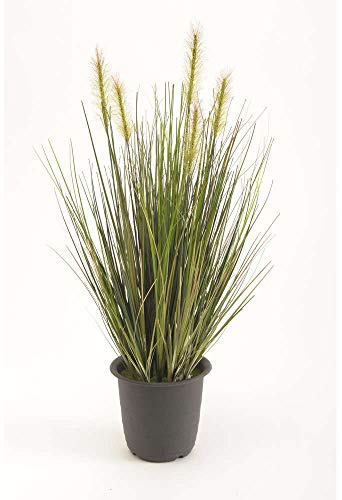artplants.de Gras im Töpfchen, grün, 45cm - Dekogras