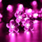 KINGCOO Guirlande Lumineuse Solaire Fleur Jardin, Étanche 23ft 50LED Fleur de Pêche Cerisier Solaire Fée Lumière pour Exterieur Interieur Mariage Fête Noël Cour Éclairage Décoration (Rose)