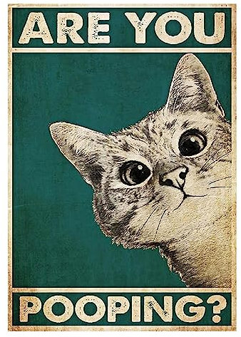 Póster de gato con texto en inglés Are You Pooping, 30 x 40 cm, diseño de gatos divertidos, decoración de baño, decoración vintage, pared de casa, decoración de habitación