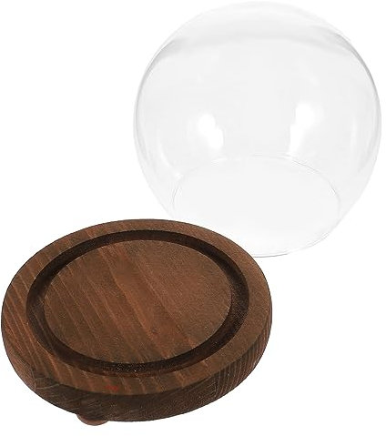 QUMIIRITY Transparente Glaskuppel Mit Holzsockel Für Ewige Blumen Dekorative Cloche Für Mikro-landschaften -beleuchtet Für Heimdekoration Und Kreative