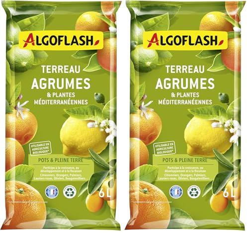 Algoflash Terreau Agrumes et Plantes Méditerranéennes, Utilisable en Agriculture Biologique - 6L, Marron (Lot de 2)