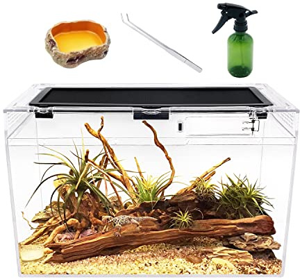 Reptile Terrarium,16 x 8x 10 Reptile Tank with Full View Visually Appealing，for Insect，Fish，Tarantula，Hermit Crab，Jumping Spider，Iguana，Tortoise，Leopard Gecko，Frog，Bearded Dragon