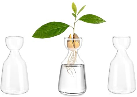 Glasseam Glass Avocado Vase: Acorn Vase for Bulb Growing Set of 3 Clear Small Bud Vases for Home Decor Hydroponic Plant Propagation Jar for Flowers Stems Clippings