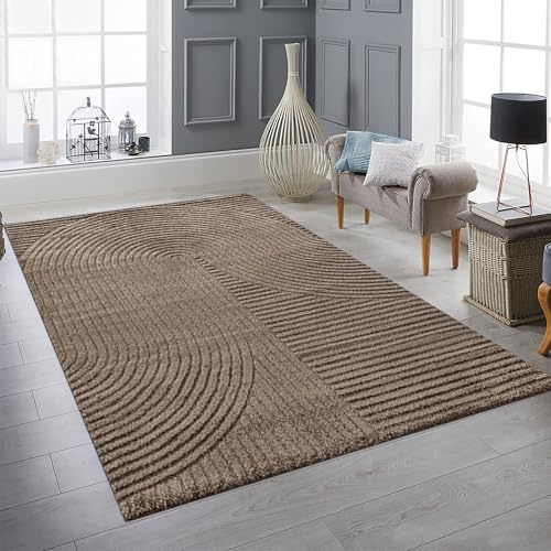Teppich-Traum Teppich Hoch-Tief-Effekt Bogenmuster Braun 160x230 cm | Kuschelig, wohnlich, robust, pflegeleicht, angenehme Haptik, Wohnzimmer, Schlafzimmer, Arbeitszimmer