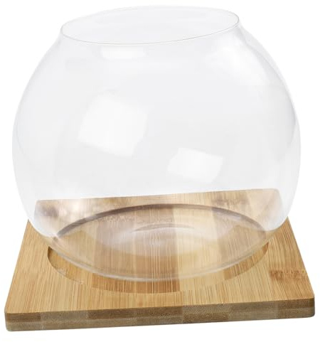 Hemobllo Bouteille Miniature Verre pour Paysage Pot De Fleurs pour Plantes Succulentes Support De Rangement Verre Bouteille De Rangement