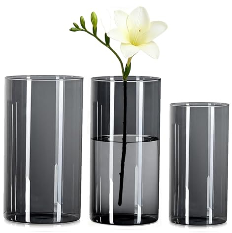 Wintfarm vas, 3 uppsättningar grå akrylcylindervas, klara hållbara okrossbara vaser, vas plast för blomarrangemang, bordsdekoration, bröllopsmittstycken, gör-det-själv (20 x 10 och 25 x 12 och 25 x 15