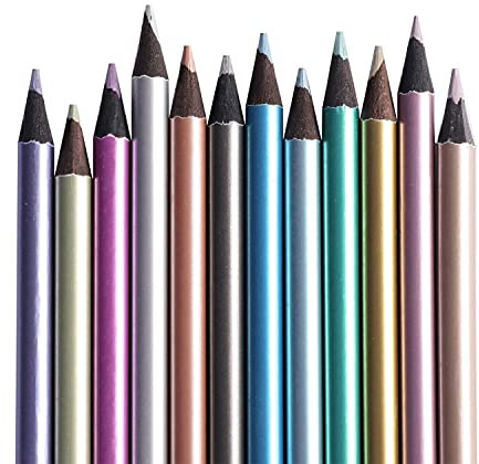 Buntstifte 12er Graphitkohlestifte Set Farbstifte Skizzen Charcoal Pencils Zeichenbedarf Kohlestifte Anfänger Skizzierstifte Malbücher Malstifte Schule Zeichenkohle Professionell Künstlerstifte