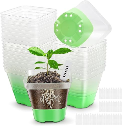 RoseDoes Anzuchttöpfe Pflanztöpfe Transparent mit Silikonsockel, Blumentöpfe Kunststoff Vierkant Mini Töpfe für Transplantation Wiederverwendbar Blumentöpfe aus Kunststoff für Pflanzen (10 Stück)
