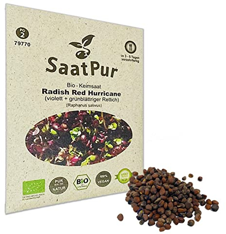 Red Hurricane BIO Keimsprossen von SaatPur - Radies Sprossen, Microgreens - 30g