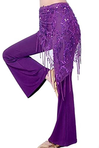 LVUNZJCA Damen Bauchtanz Hüfttuch Bauchtanz Hüftkette Tanz Hüfttuch Pailletten Bauchtanz Gürtel für Tanz, Yoga(Lila)