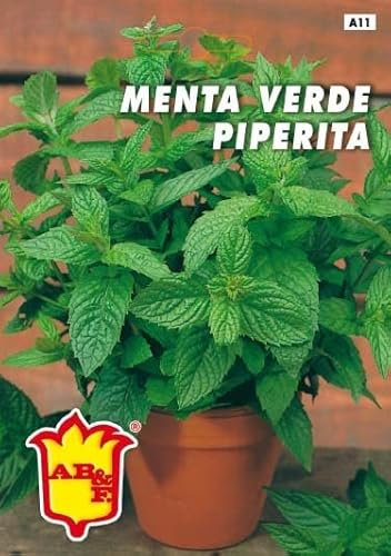Semi Aromatiche,Menta Piperita,2 buste linea Maxi,Mondonatura Srl