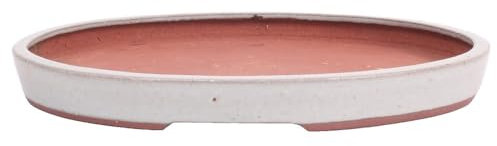 generisch Tokoname Bonsaischale von Youzan - 28 x 23 x 3,3 cm - oval - grau - 58102