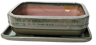 Generic Bonsaischale aus glasierter Keramik mit passenden Abtropfschalen, Grün, 20 cm