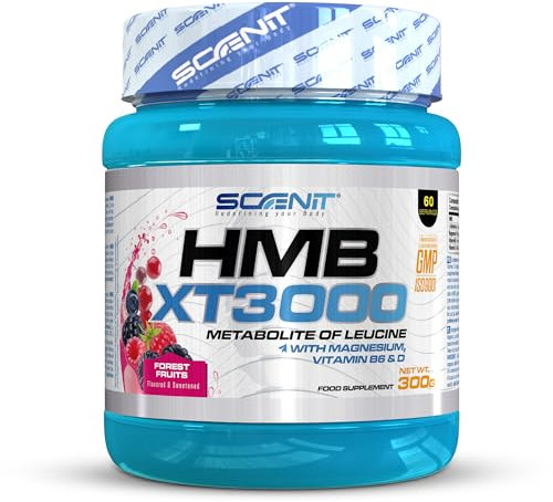HMB XT 3000-3000 mg de HMB Musculation poudre avec saveur - HMB Poudre avec Glutamine, Magnésium, Vitamine B6 et Vitamine D - Saveur fruits des bois