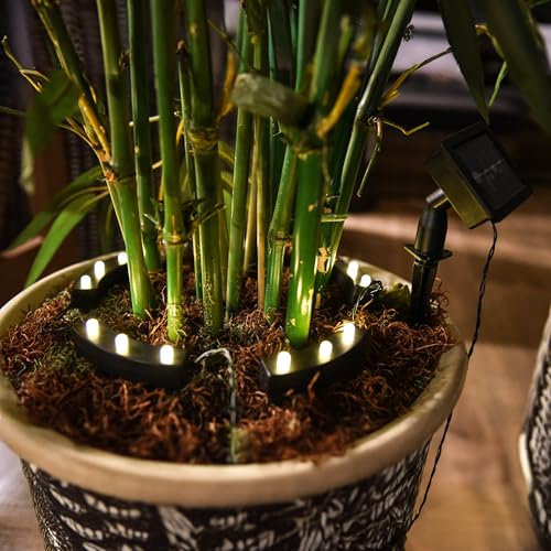 Spetebo LED Solar Blumentopf Beleuchtung mit 8 Funktionen - 5er Set - Pflanzkübel Deko Leuchte warm weiß - Garten Beleuchtung Pflanzenstrahler Blumenkübel Solarleuchte Spotlight
