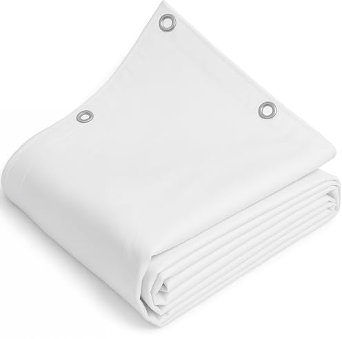 TELOMERITI® - Telo/Telone in PVC 650gr/mq con Occhielli in Alluminio, Rinforzato, tipo da camion, Impermeabile, Copritutto Da Esterno, Vari Colori, Made in Italy (Bianco, 3x4 Metri (12 MQ))