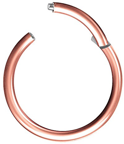 Piercingfaktor Universal Titan G23 Piercing Scharnier Clicker Ring Septum für Tragus Helix Ohr Nase Lippe Brust Intim Nippel Augenbrauen