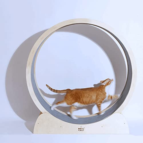 Katzenlaufrad, Katzenübungsrad für die Gesundheit der Katze, verschleißfestes Katzenlaufband, geräuschloses Hamsterrad, Katzenlauf-Spinnspielzeug für Haustiere im Innenbereich, frei Laufen (