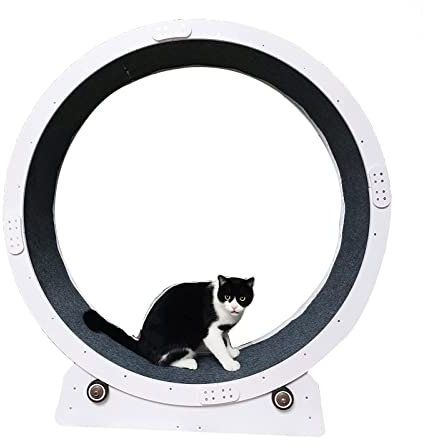 Hundelaufband Laufband für Katzen, leises Katzenlaufrad, Katzenkratzbrett, kein Spalt, Laufrad für Katzen, Gewichtsverlustgerät für Katzen im Innenbereich