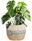 CGTQROVR Cesta de sembrador de Mimbre Cesta de Planta Tejida de 8.7 Pulgadas con plantador Decorativo de Revestimiento Interior Impermeable Ideal para Plantas decoración del hogar Interior