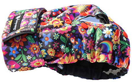 Glenndarcy Hündin Windel - Verstellbare Flexi-Hose - (Size Small to Medium Pants & 2 Washable Pads, Daisy)