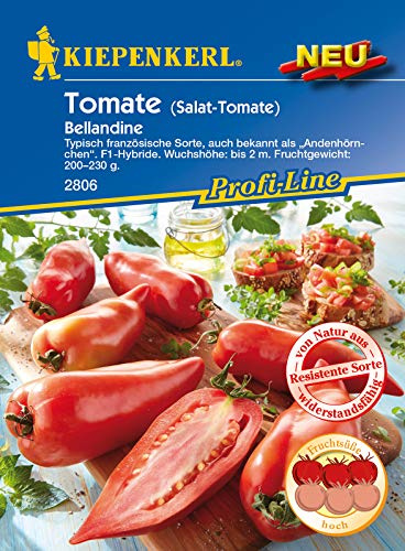 Kiepenkerl 2806 Tomate Bellandine F1 (Tomatensamen)