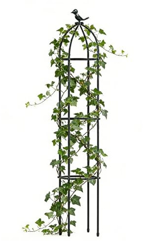 Gabbia per Piante Rampicanti da Esterno - Decorative Antiruggine per Sostenere Piante,Supporti per da Interno | per Uso Interno Esterno su Rosa Clematide Verdura Frutta Cetriolo Uva