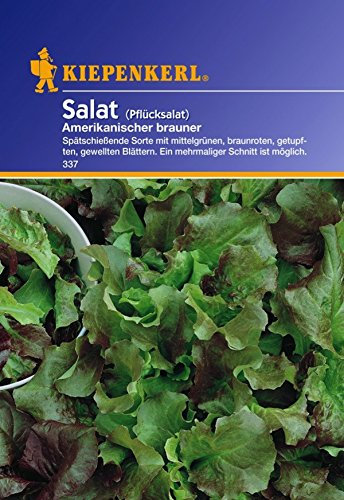 Kiepenkerl, Amerikanischer brauner Pflücksalat