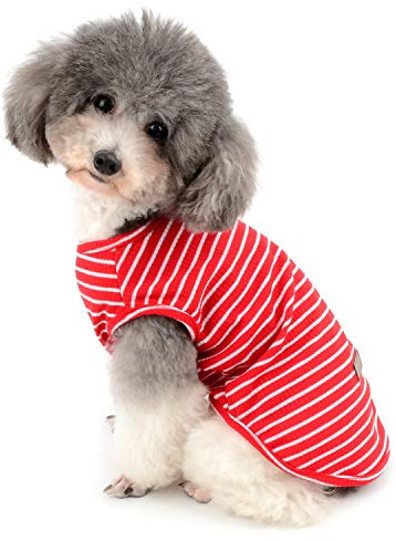 Zunea Chemises pour Petit Chien Chat T-Shirt Rayé D'été Cool en Coton Doux Vêtement pour Chihuahua Chiot Chien Yourkshire Rouge S