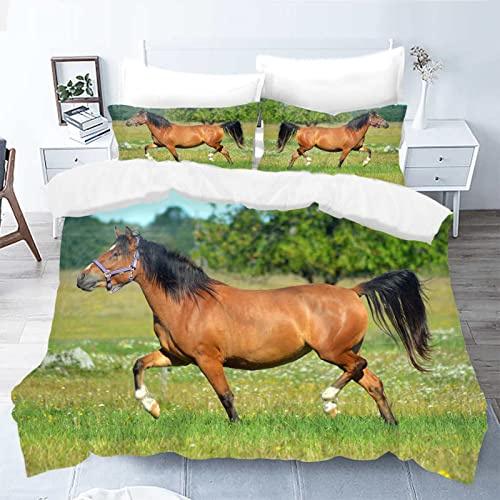 HATEGE Set Copripiumino una Piazza e Mezza cavallo marrone Animali Biancheria da Letto Prato Verde in Morbida Microfibra Stampe 3d Copripiumino 200x200 cm + 2 Federe 50x80 cm con Cerniera