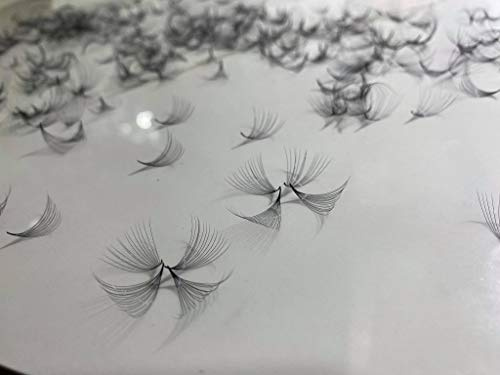 LASH BY HOLLY 14D PREMADE (HAND MADE) FAN LASHES (500 FANS/TRAY) FOR EYELASH EXTENSION, C CURL, D CURL AND M CURL, 0.05 THICKNESS, LENGTH FROM 10MM-17MM (D11mm14D)