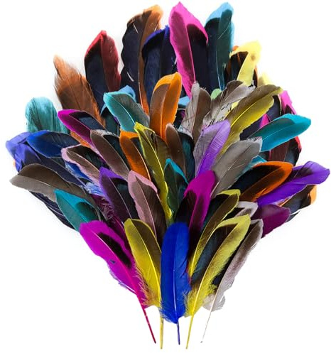 ARROMI 200 Stück Federn Zum Basteln, Bunte Federn für DIY Ohrring, Hochzeit, Traumfänger, Kopfschmuck, Hüte, Zuhause Dekor, Halloween, DIY Dekoration