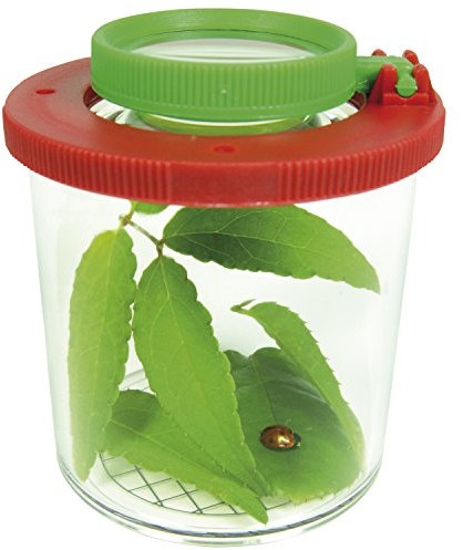 Eduplay 150006 Lupendose, groß, transparent, 1 stück