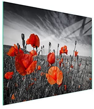 DarHaus Herdabdeckplatte Einteilig 52x30 cm Ceranfeld Abdeckung Glas Spritzschutz Abdeckplatte Glasplatte Herd Ceranfeldabdeckung Deko Gehärtetes Glas Mohnblumen Rot