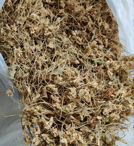 AYURVEM HERBS™ Indian Jadibooti Gul Banafsha Sweet Violet Banaksa Banaksha 100 Gram
