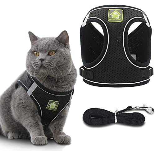 Katzengeschirr mit Leine Set für Welpe Kleiner Hund Große Katzen, Ausbruchsicheres Verstellbares Weiches Katze Geschirr mit Katzenleine für Chihuahua, Groß Kitten Maine Coon (M, Schwarz)