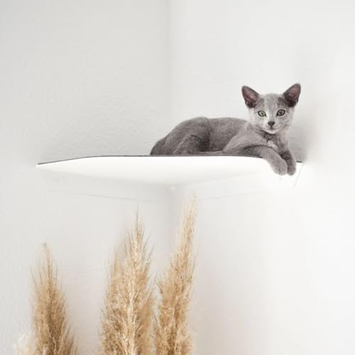ChapoNero Katzenliege & Kletterstufe mit Filzauflage für Wandecken | Wandliege für Katzen | Katzenstufe Wandecke | Katzen Wand Liegeplatz | Katzenmöbel für Kletterwand | Katzenregal | Anthrazit