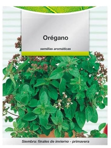 Semillas de Orégano Común - Semillas Hierbas Aromáticas - Semillas de Plantas para Cocinar