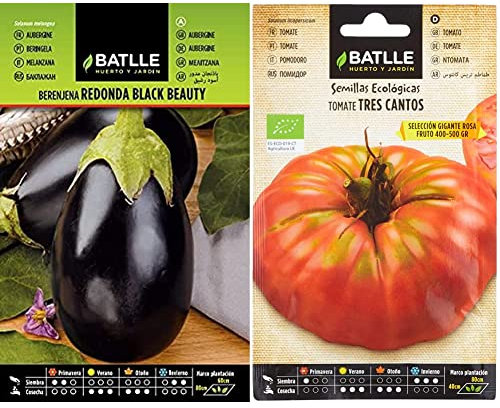 Semillas Batlle Berenjena REDONDA Black Beauty & Tomate Tres cantos Gigante Rosa - ECO