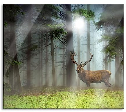 Hirsch auf Waldlichtung Sonnenstrahlen Herdabdeckplatte & Spritzschutz aus Echtglas | Für Herd-Kochfelder | 60x52 cm