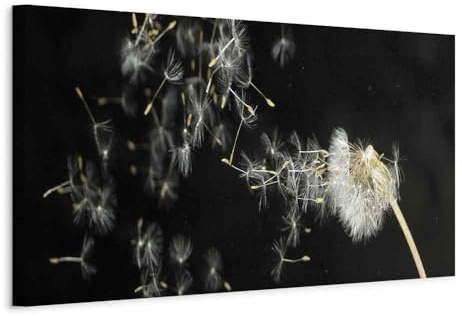 murando - Akustikbild Schalldämmung Natur, Schallschutz, Wohnzimmer, Büro | Verbessert Raumakustik, reduziert Hall, ideal fürs Büro oder Wohnzimmer, hochwertige Verarbeitung, schnelle Montage, stilvoll