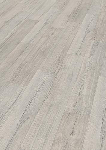 EGGER Home Laminatboden EHL145 Elva Eiche grau (8mm, 1,995m²) | authentische Holzoptik | | Einfache Verlegung durch CLIC It! System | Praktisch & wertbeständig