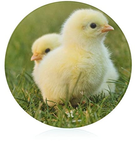 Chick Grass Planches À Découper De Cuisine Planche À Hacher Aliments Pour Fruits Légumes Viande 20 cm